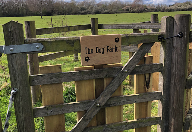 Dog Park at Secret Meadows