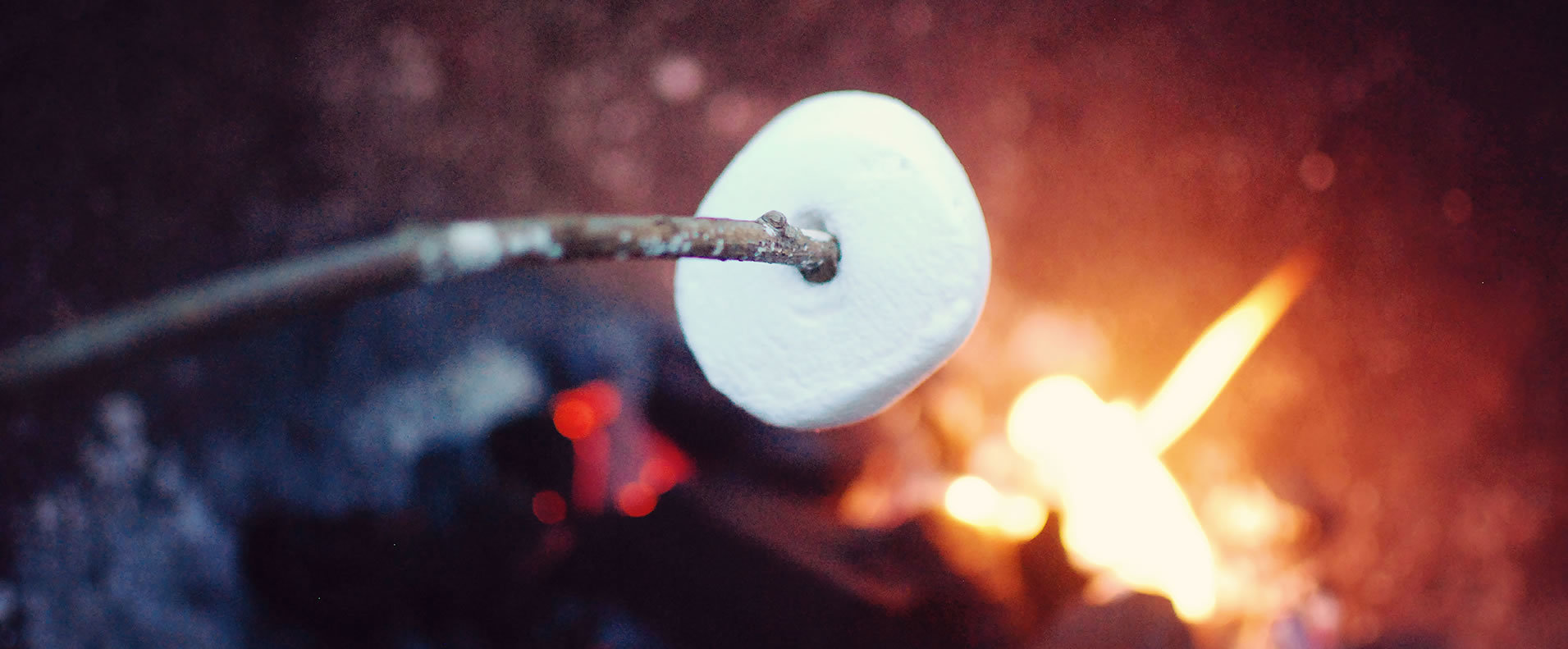 Roasting marshmellows on a Secret Meadows camp fire!