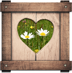 Secret Meadows heart frame with grass and flowers
